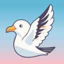 海鸥直播平台 5.4.0 安卓版
